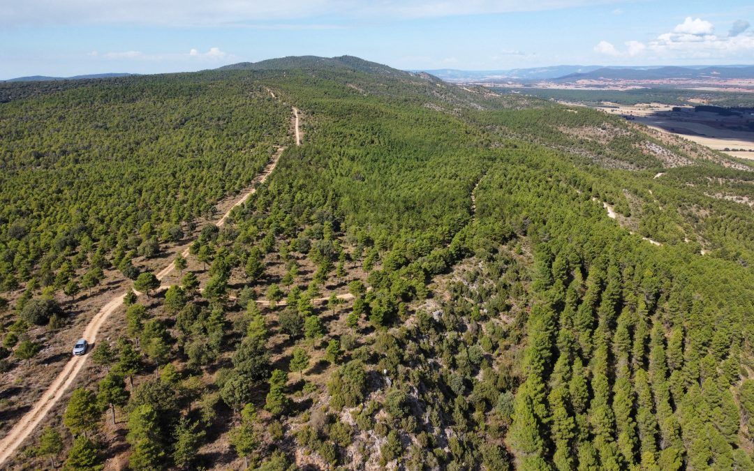 Toroverde recibe la aprobación inicial de su Proyecto de Singular Interés