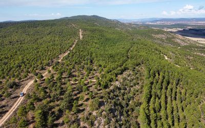 Toroverde recibe la aprobación inicial de su Proyecto de Singular Interés