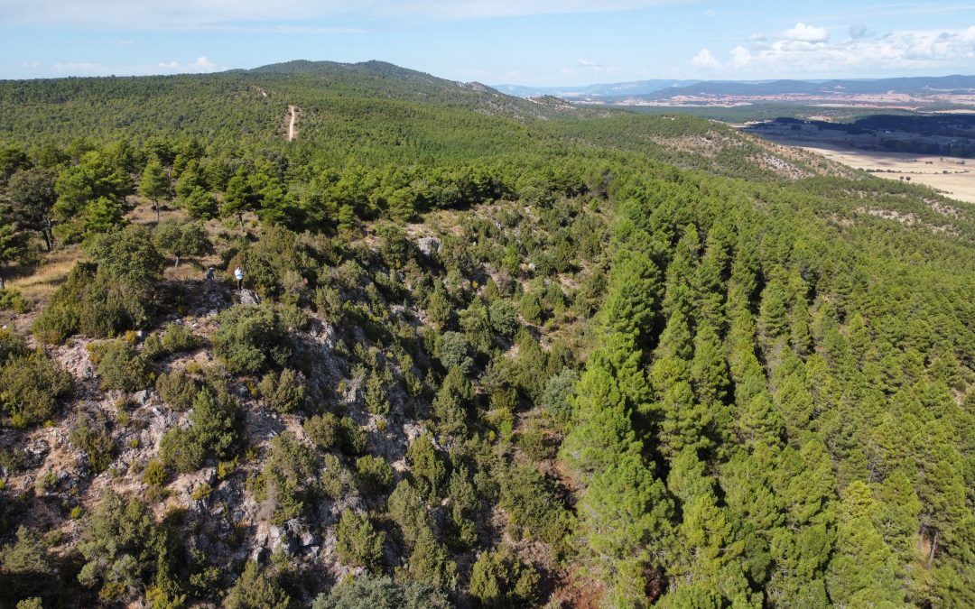 Respondidas la totalidad de las alegaciones y solicitudes de informes sectoriales por parte de Toroverde España